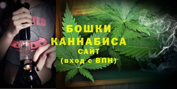 винт Богданович